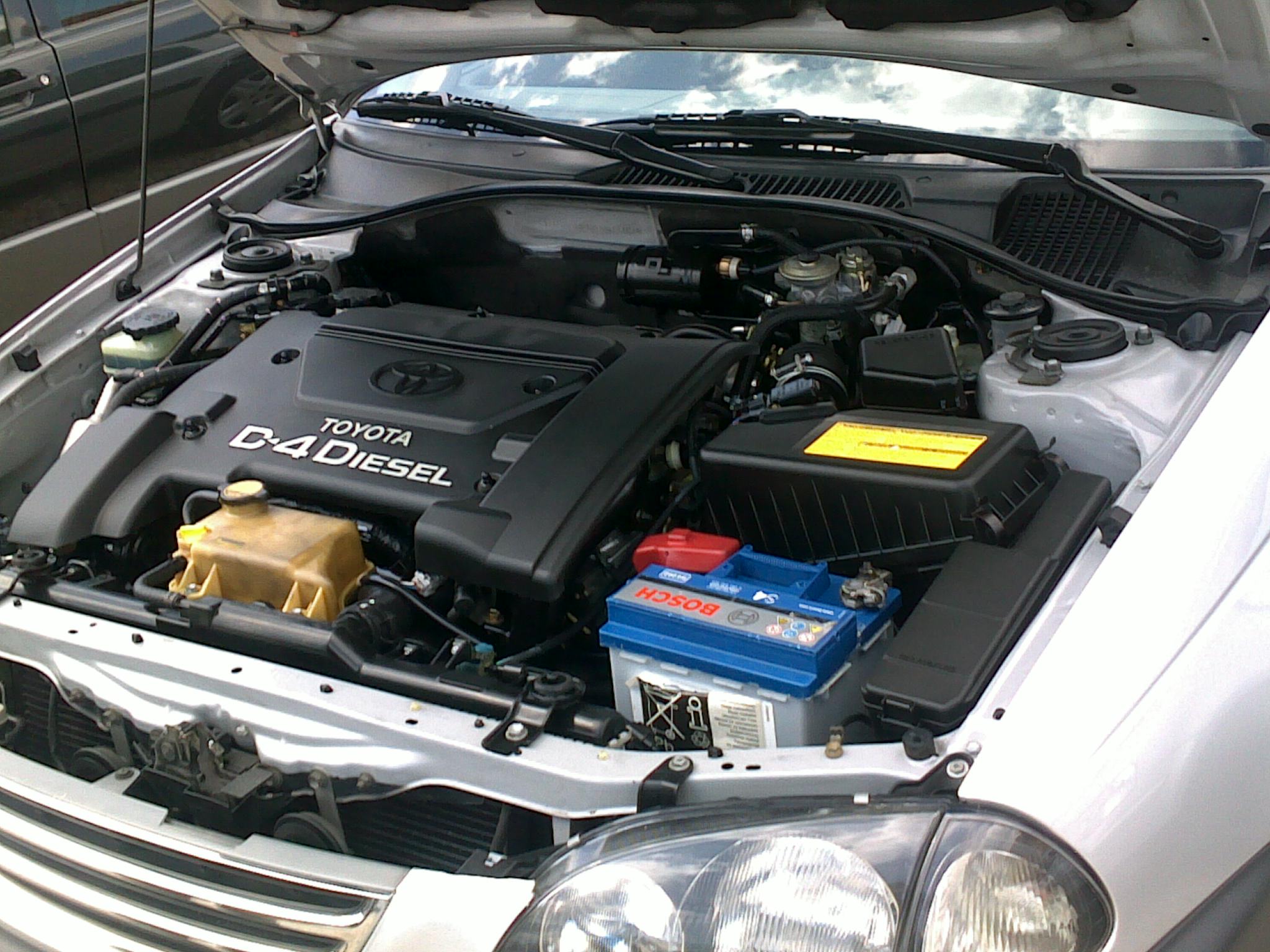 03042010151.jpg