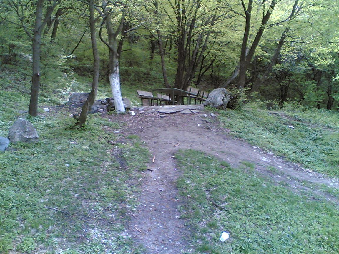 18042008(003).jpg