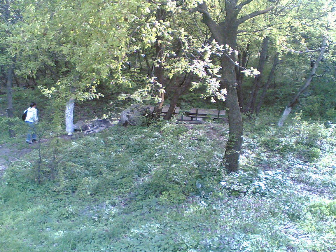 18042008(011).jpg