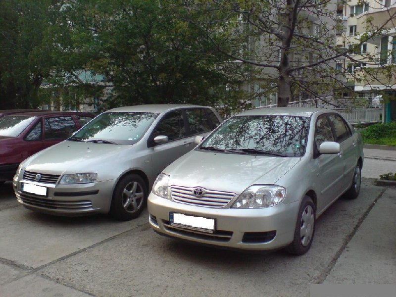 DSC003766.jpg
