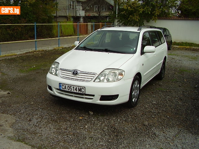 303964o.jpg