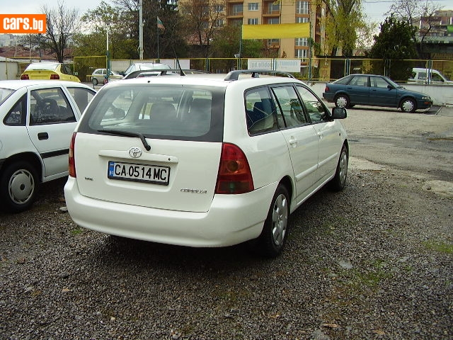 303969o.jpg