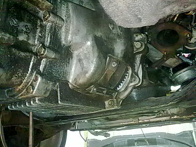 24042010466.jpg