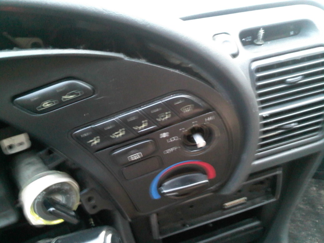 IMG313a.jpg
