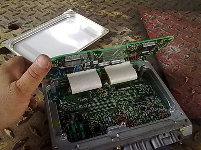 27072010561.jpg