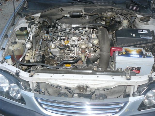 P1060949.JPG