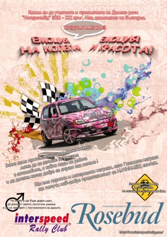 Copy of rally_edit_2.jpg