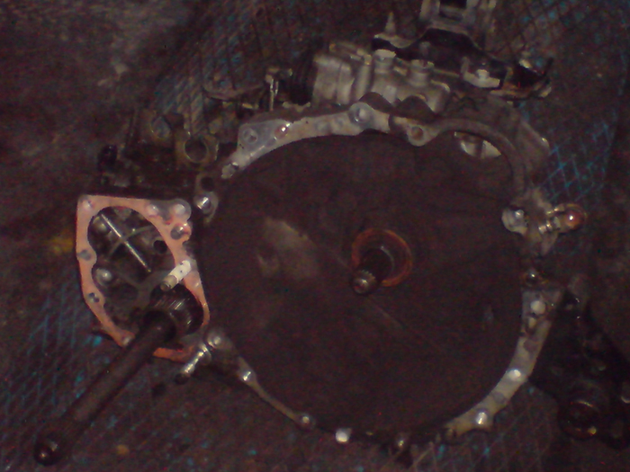 DSC03021.JPG