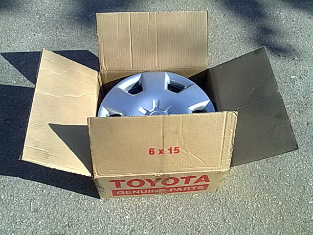 24102009112.jpg