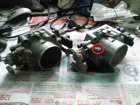 P1010190.jpg