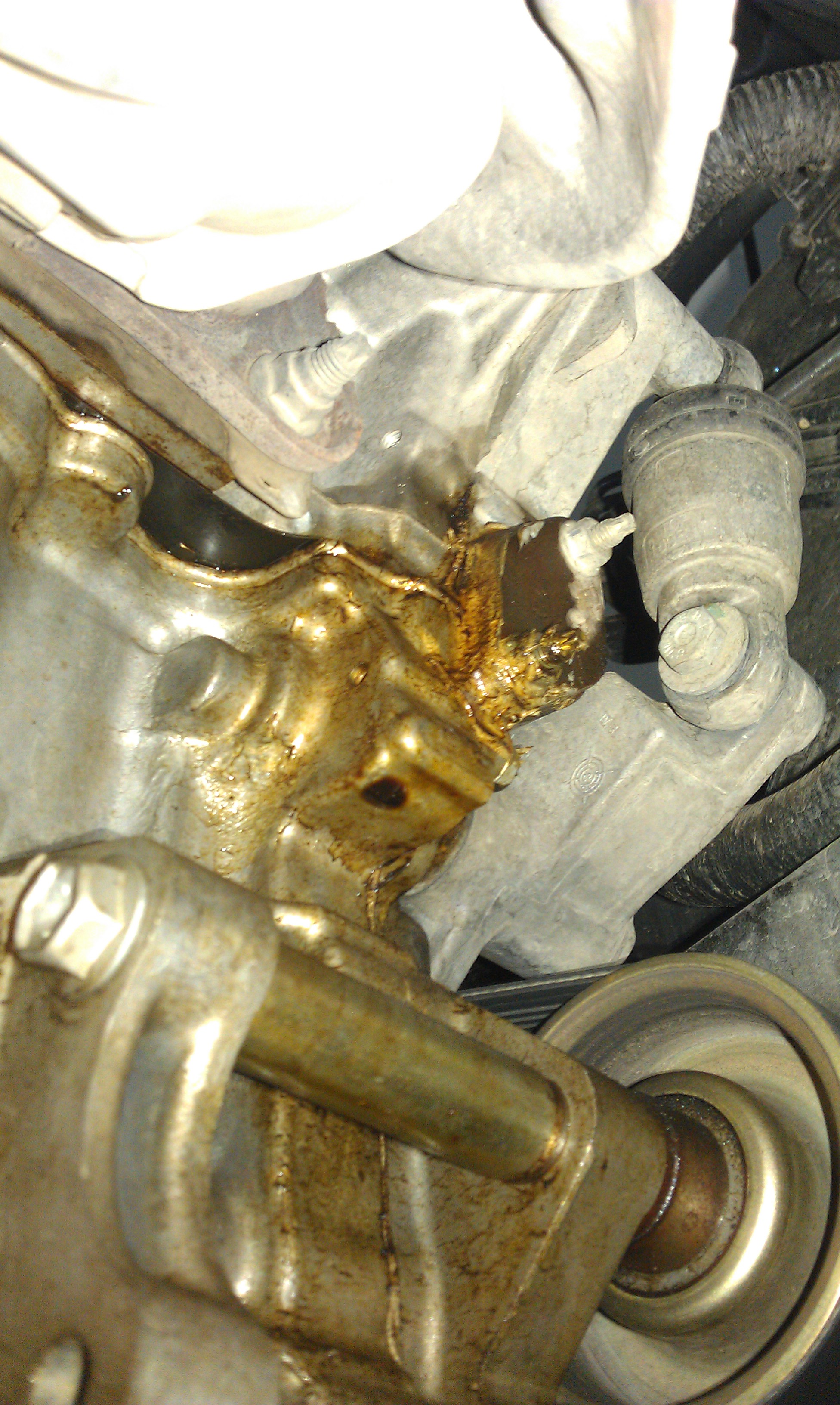 IMAG0282.jpg