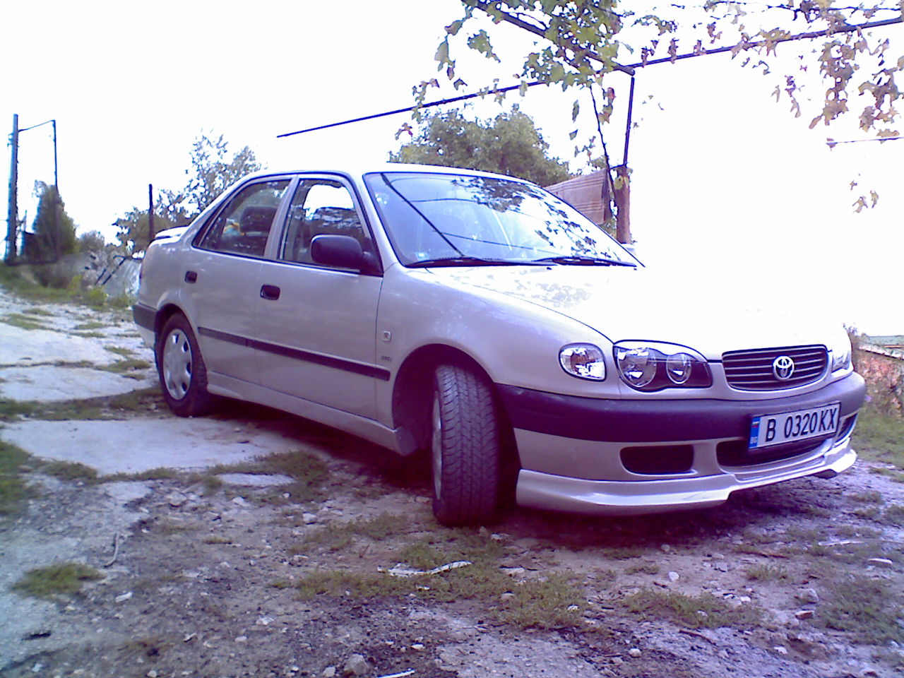 Corolla 2.jpg