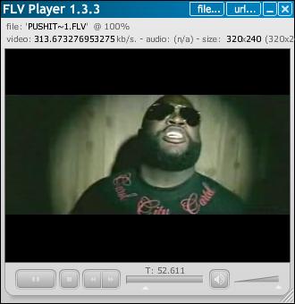 flv.JPG