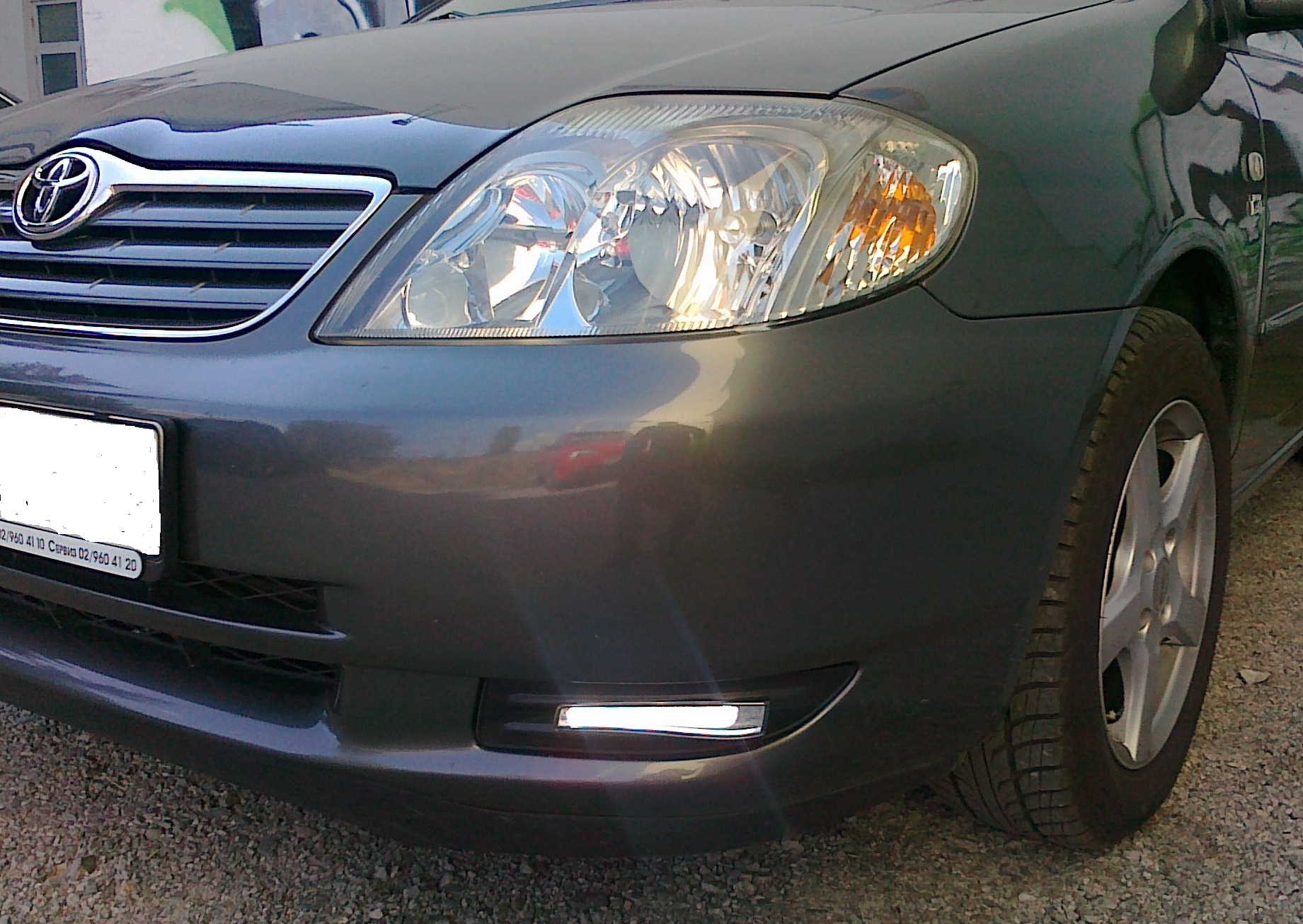 05102012786.jpg