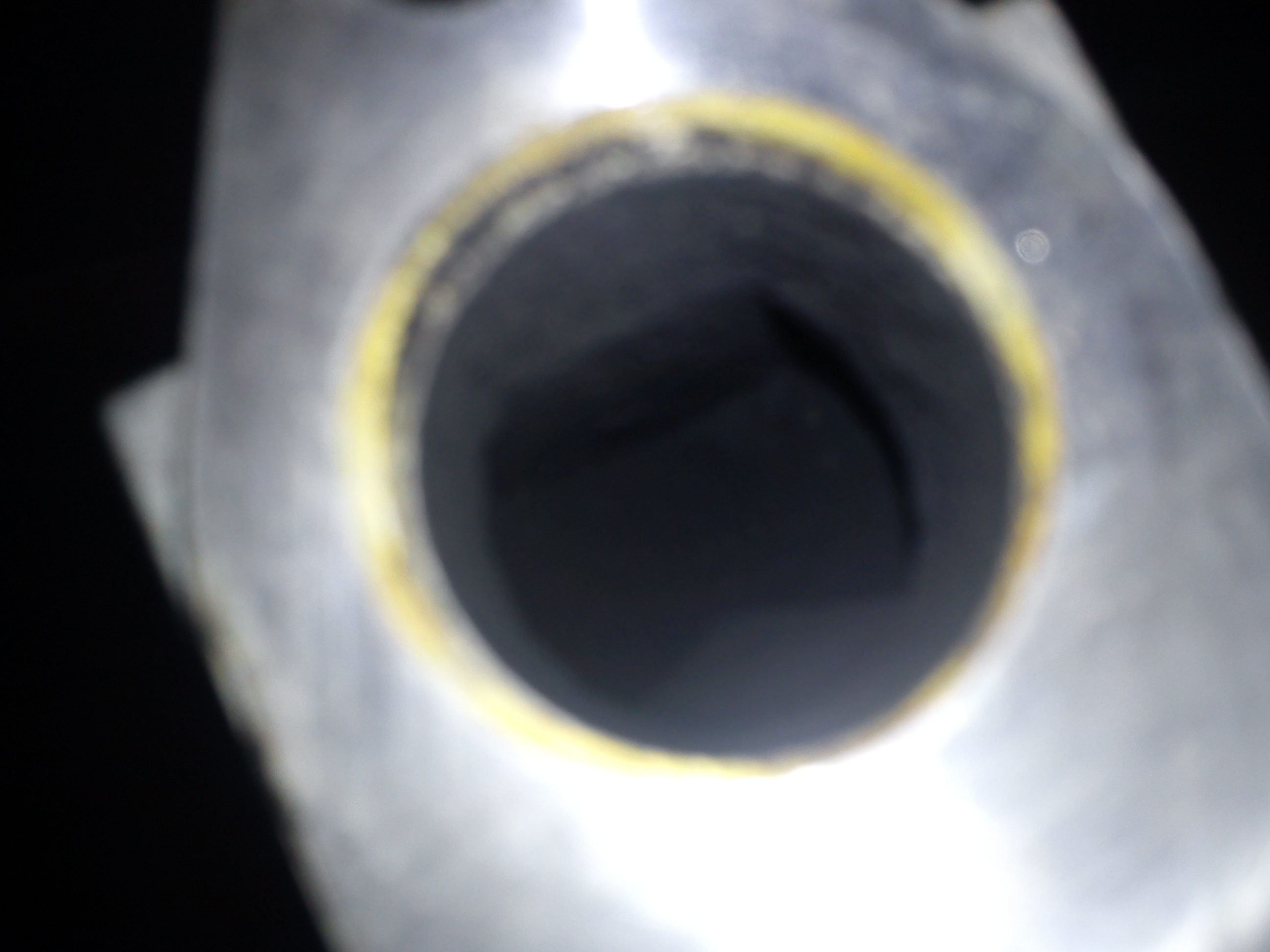 DSC00426.jpg