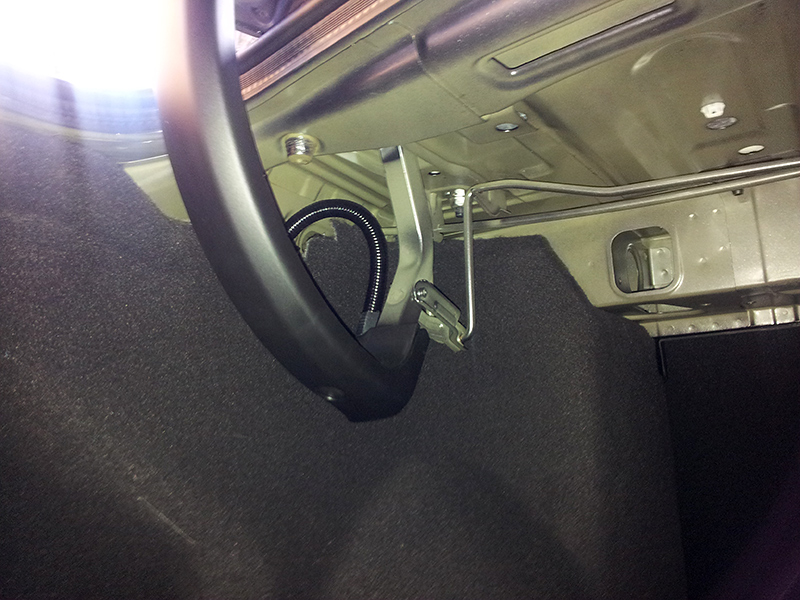 trunk.jpg