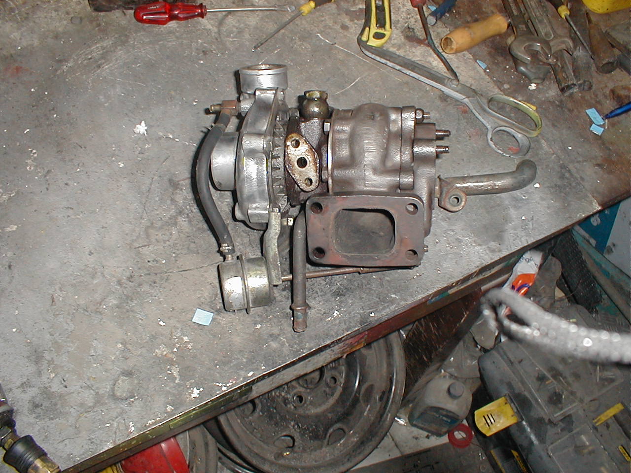876tg987698.JPG