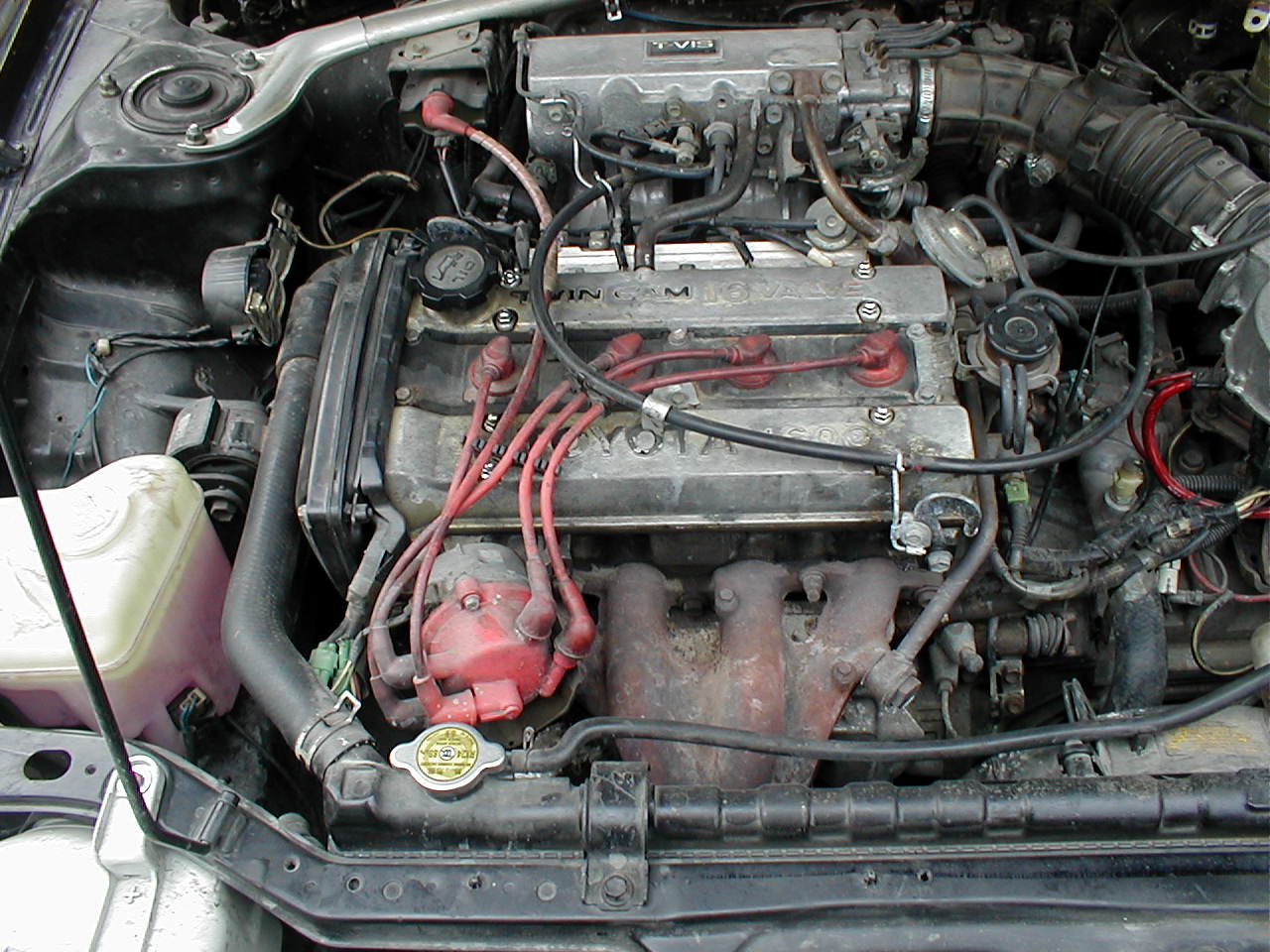 P1010015.JPG