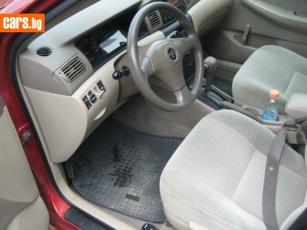 COROLLA - Copy.jpg