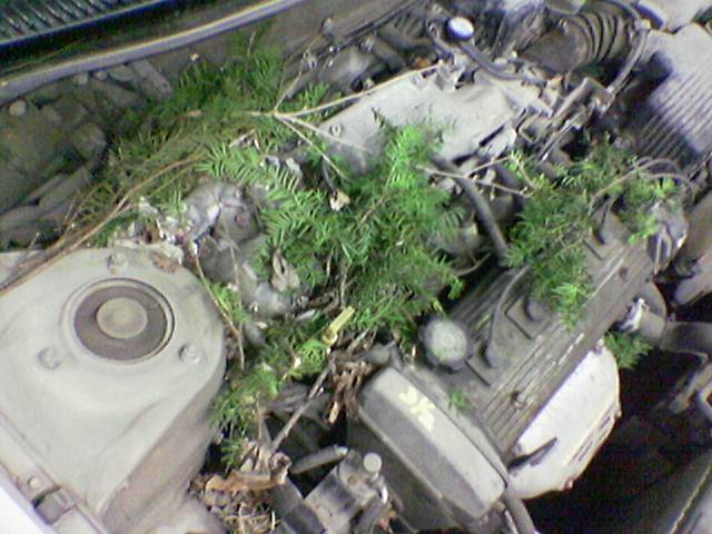 Image(054).jpg