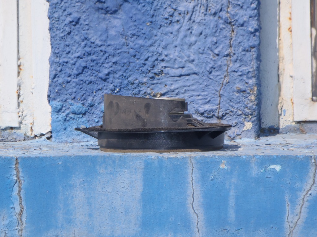 P3198182.JPG