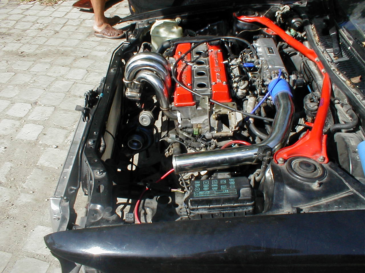 P1010004.JPG