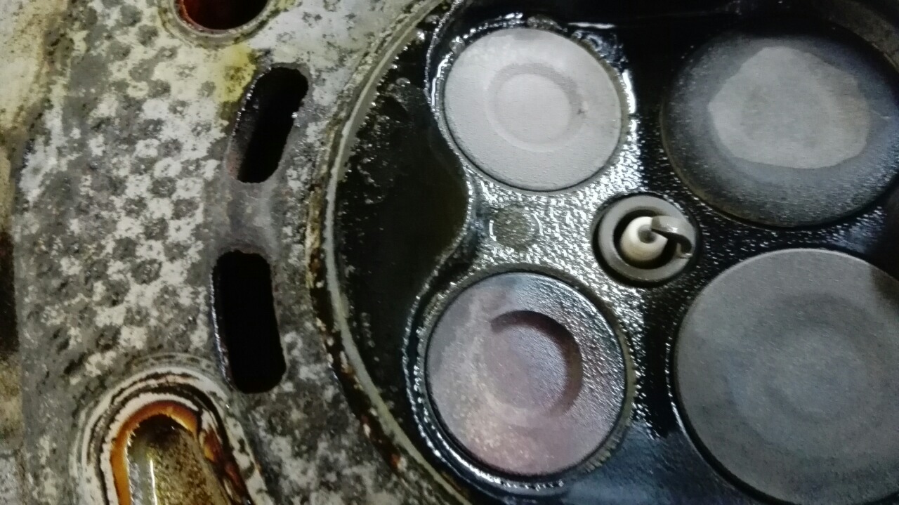 image-0-02-01-d0182cc017d81f504c49ea84d4a467d6d2d817561bbe03e4e525ac441acbbe92-V.jpg
