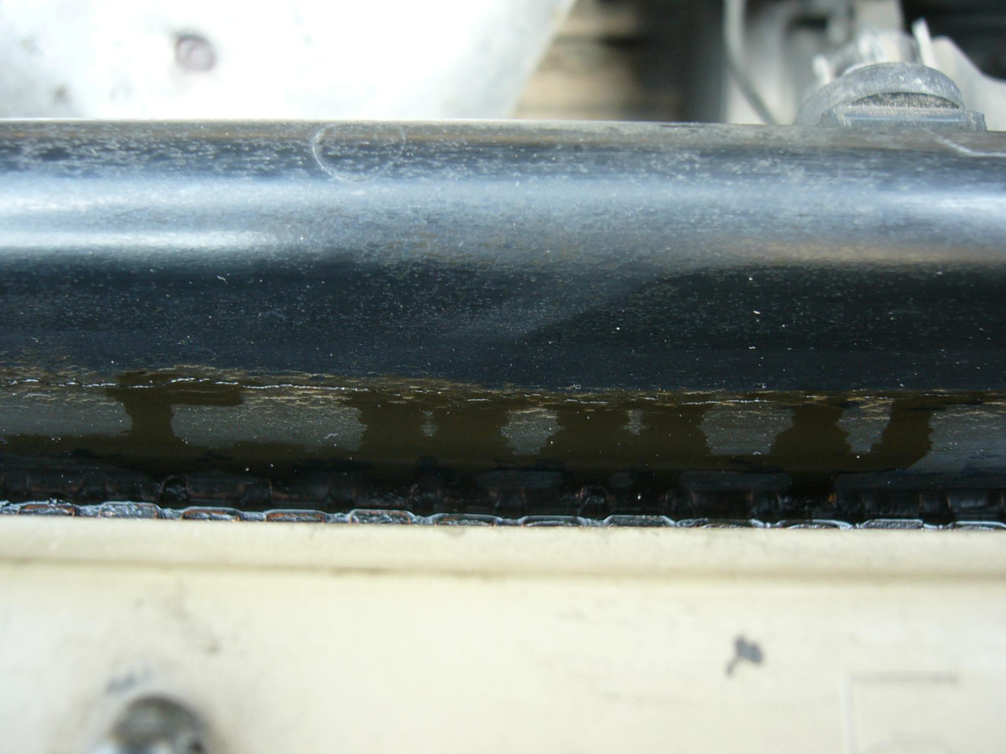 P1030147a.JPG