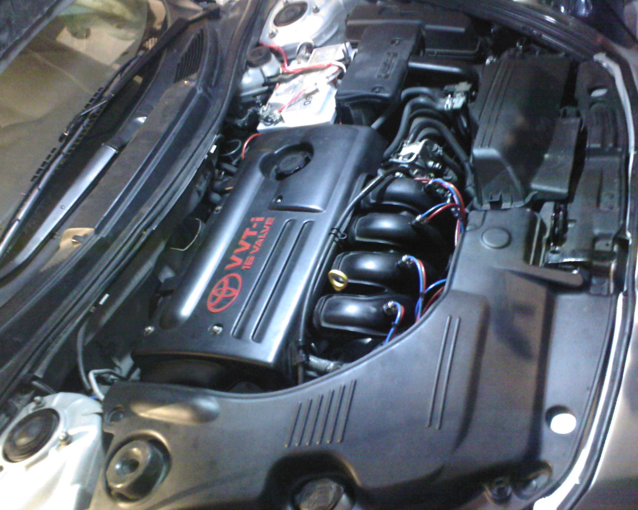 Gen4o-0100.jpg