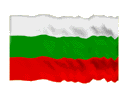 BGFLAG.gif