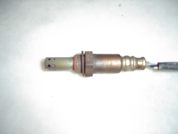 DSC01270.JPG