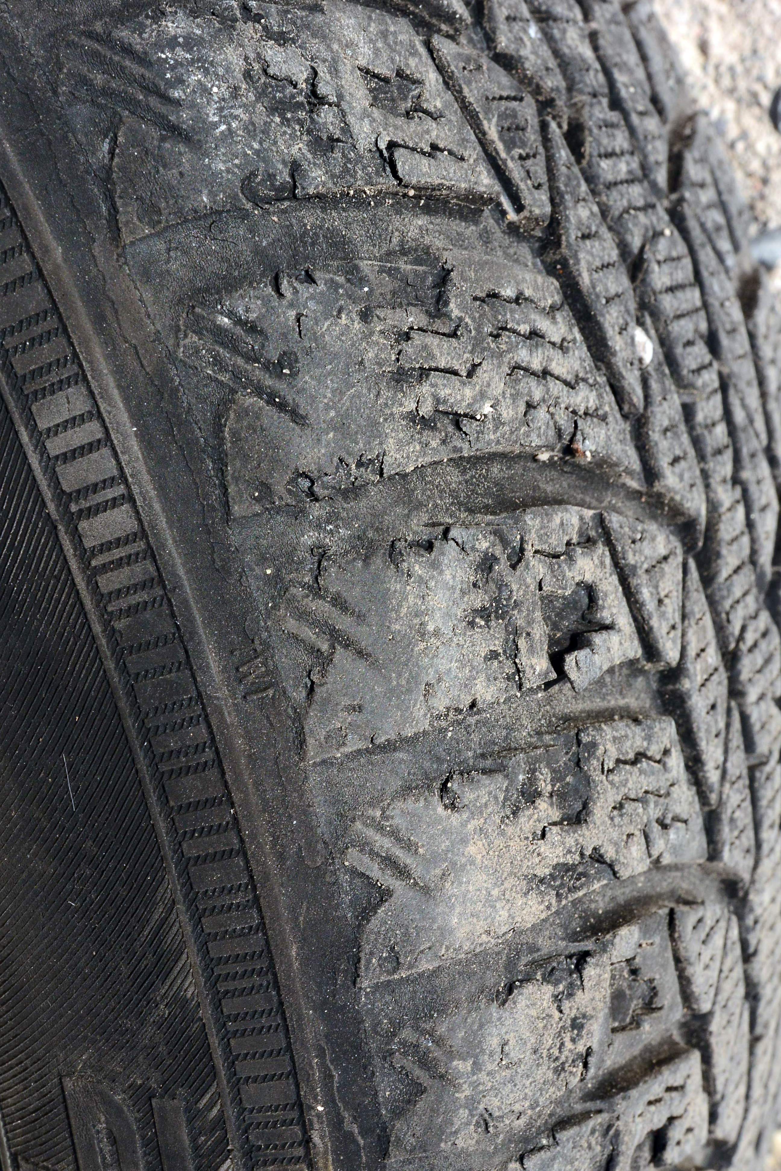 205/55R16 91H  Nokian WR D4 - грайфери