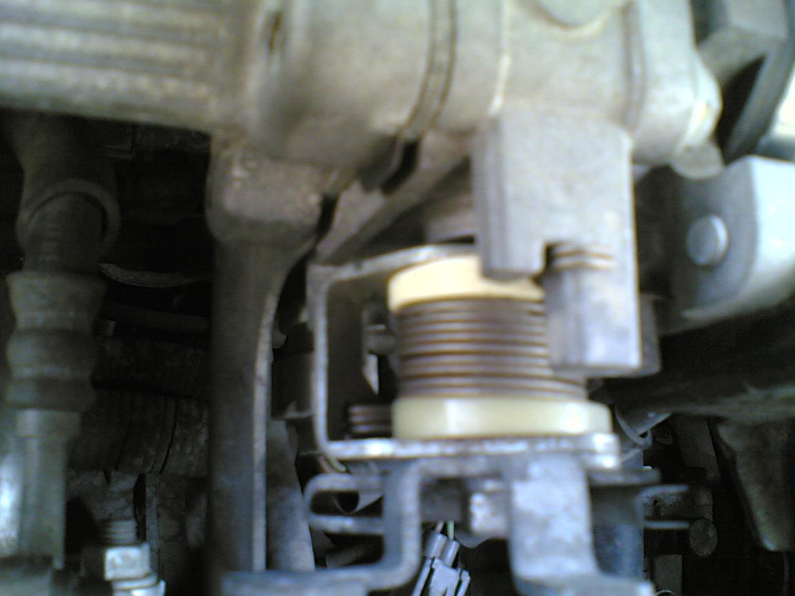 02022008(002).jpg