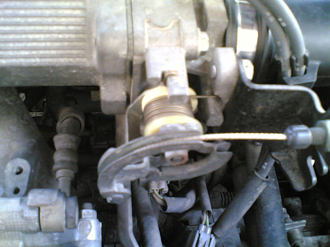 02022008.jpg