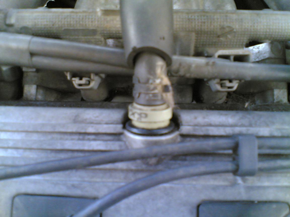 02022008(005).jpg