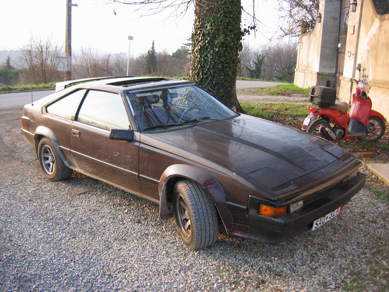 punky 019.jpg