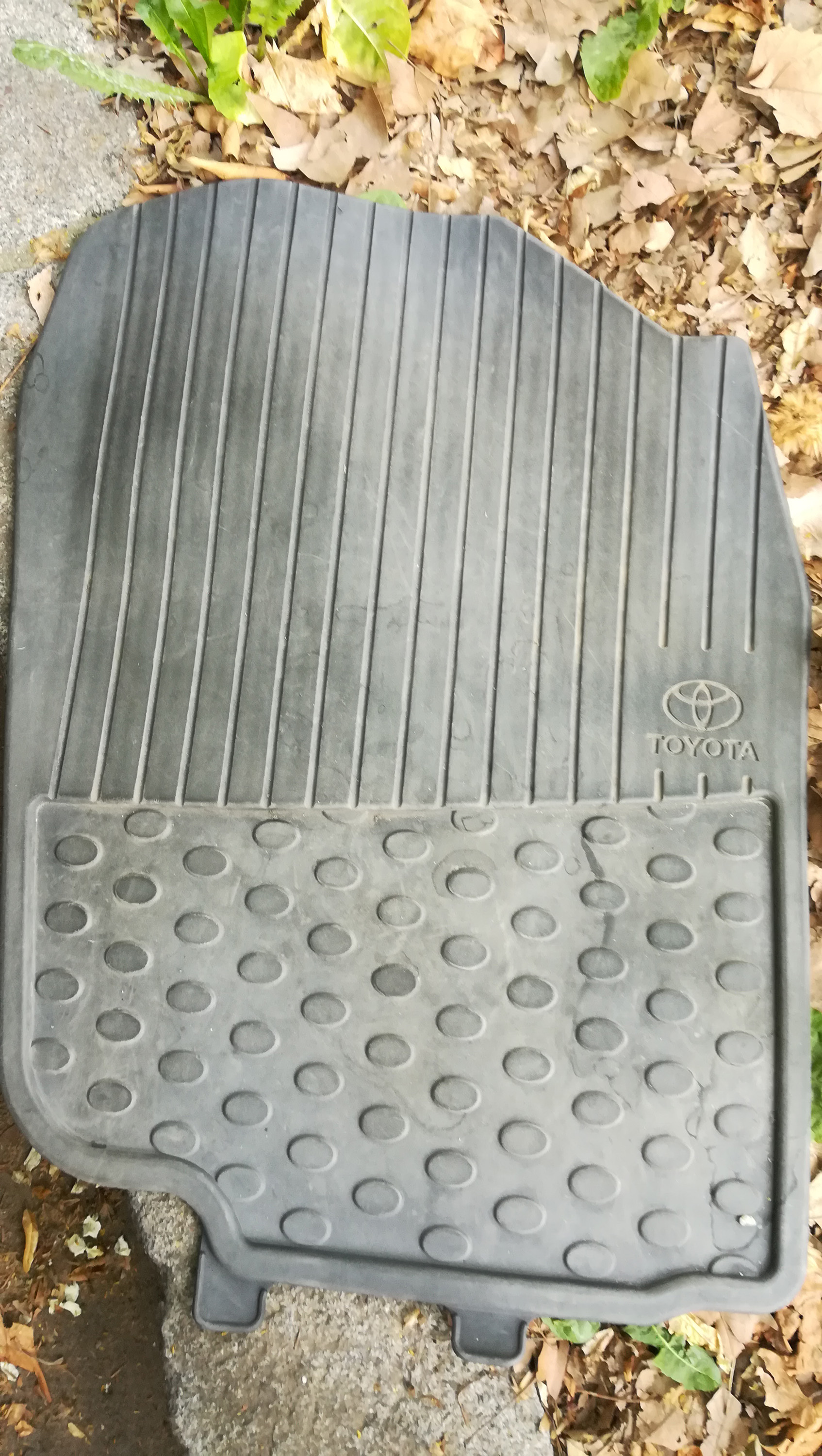 2019-06-17 08.57.35.jpg