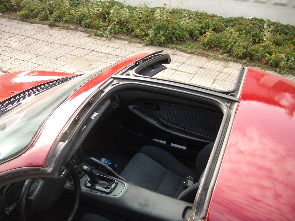 IMGP4169.jpg