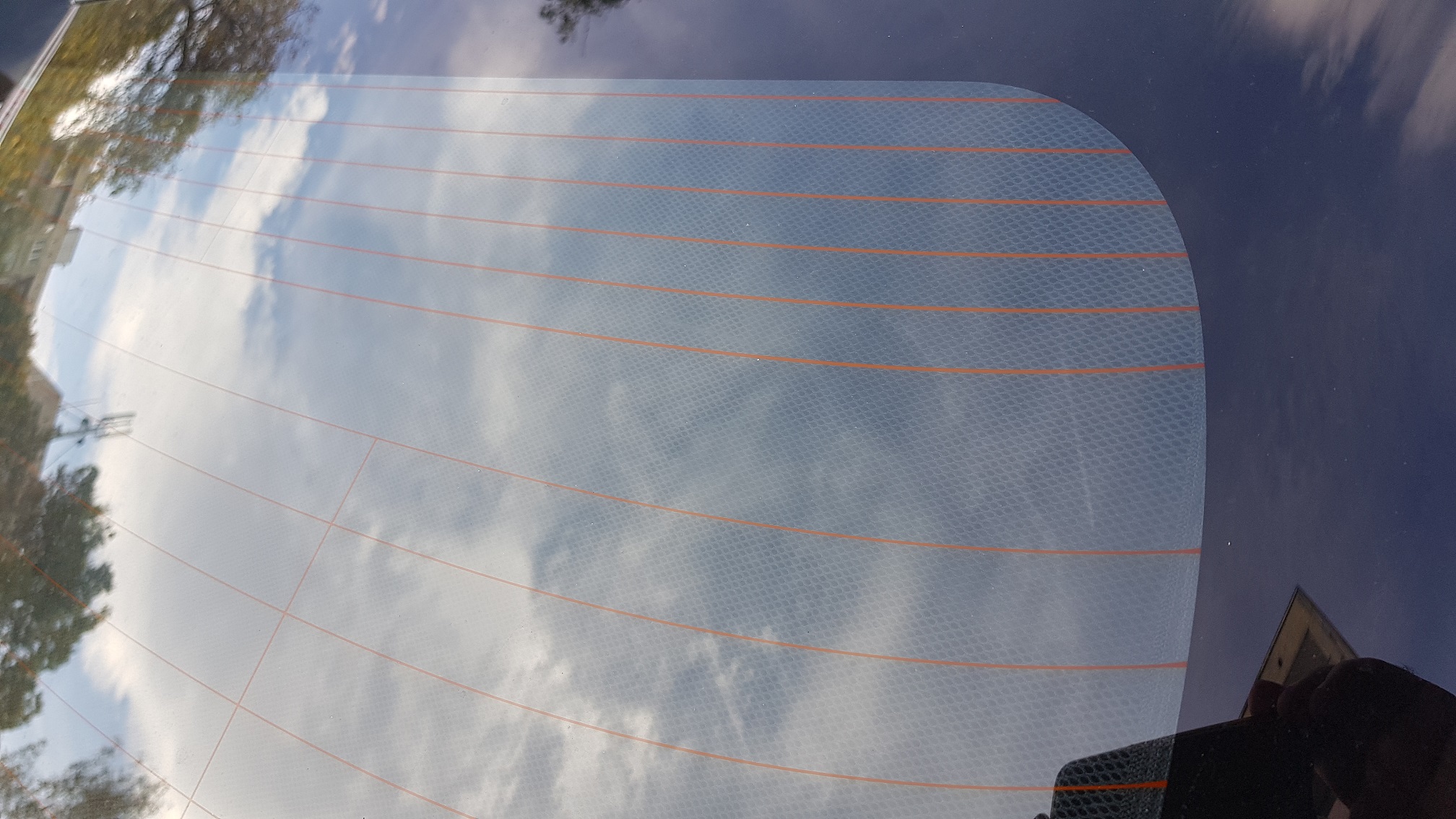 20191103_132533.jpg