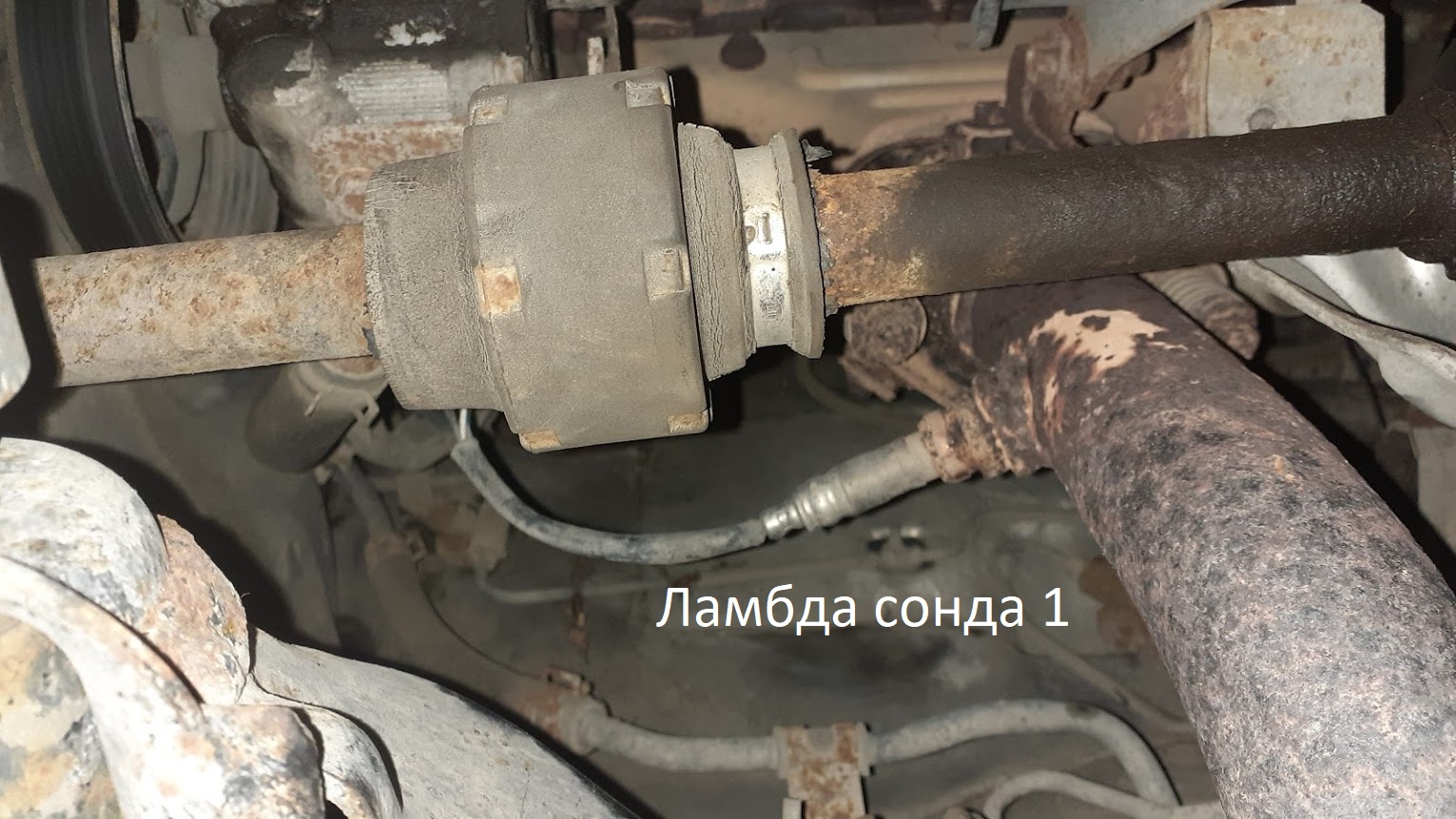 20201101_133737.jpg