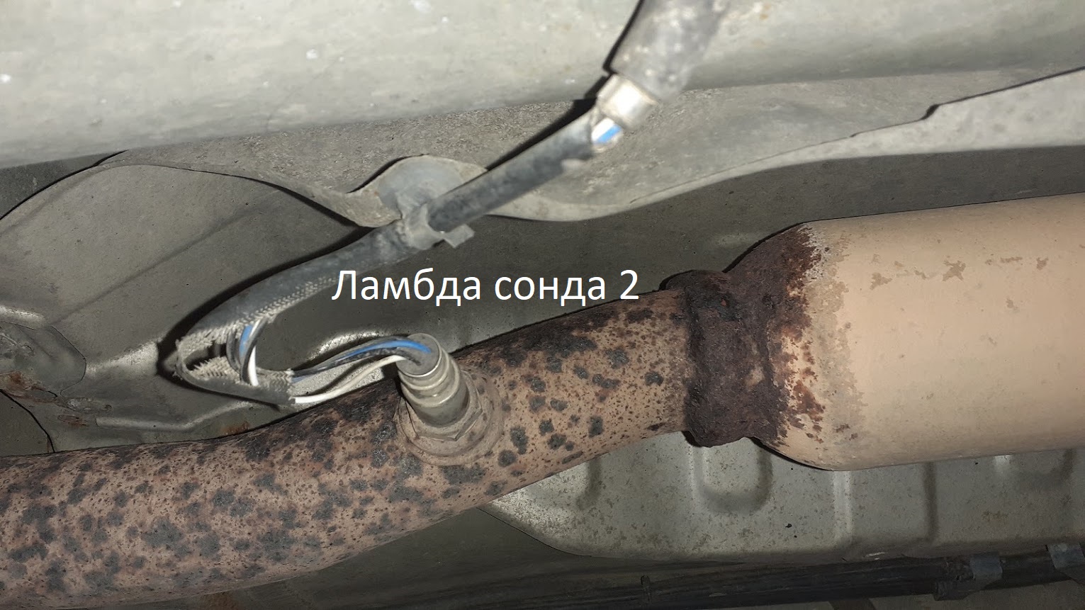 20201101_133434.jpg