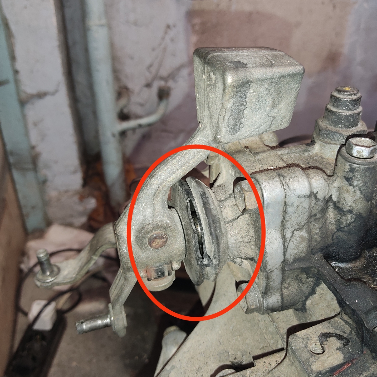 Resizer_16288423485180.jpg