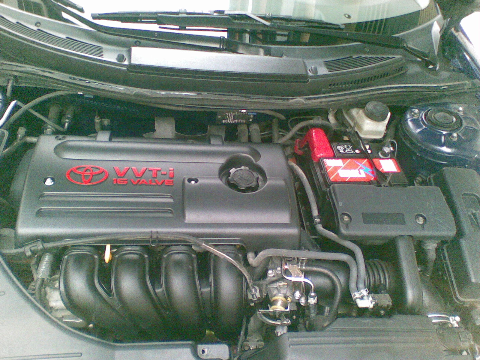 02052008(004).jpg