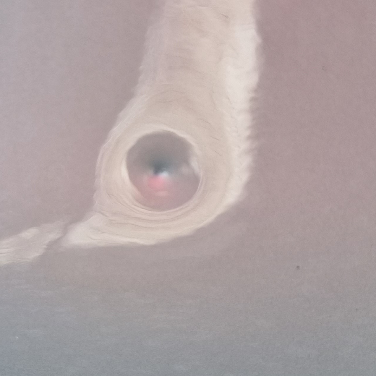 20230818_154327.jpg