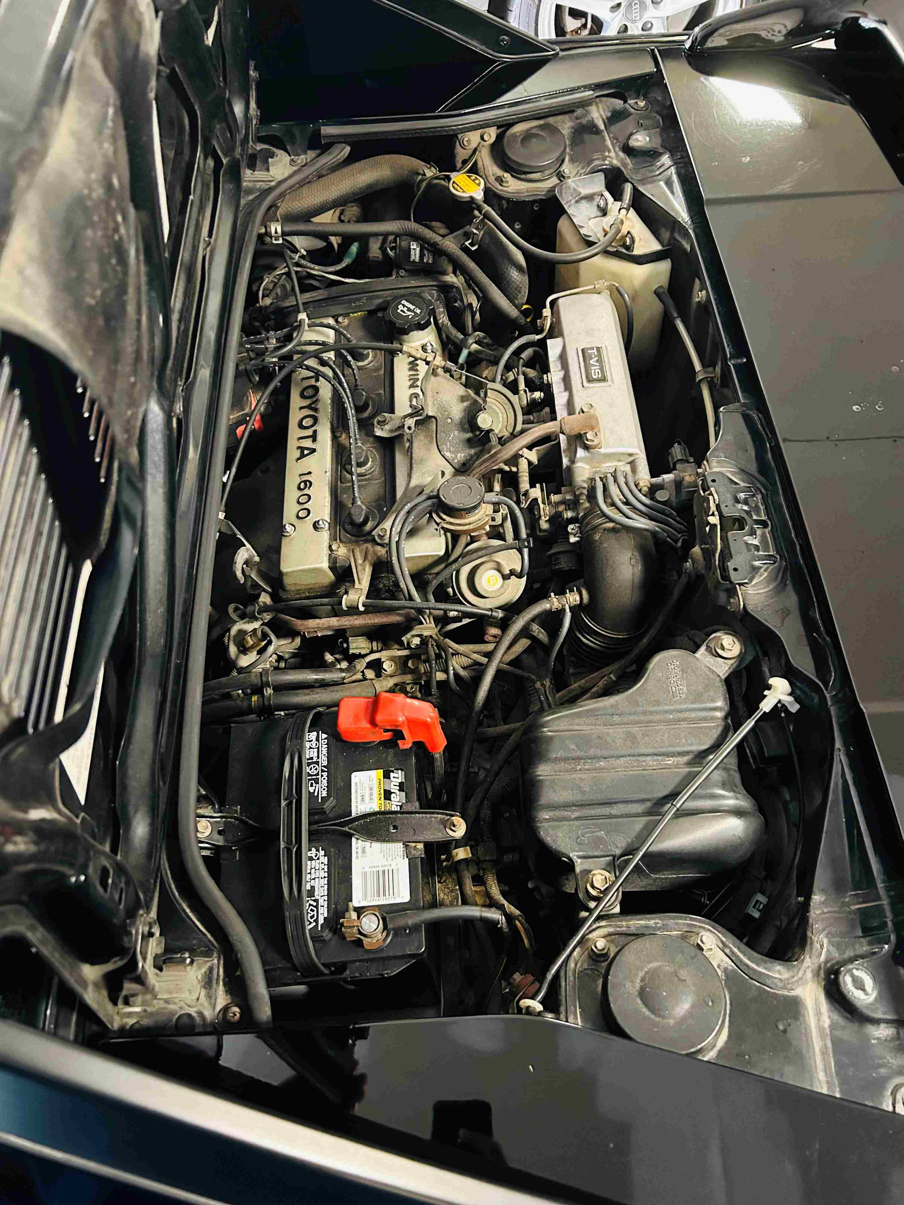 MR2-5.jpg