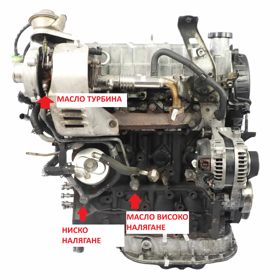 zadna strana rav4 2003.png