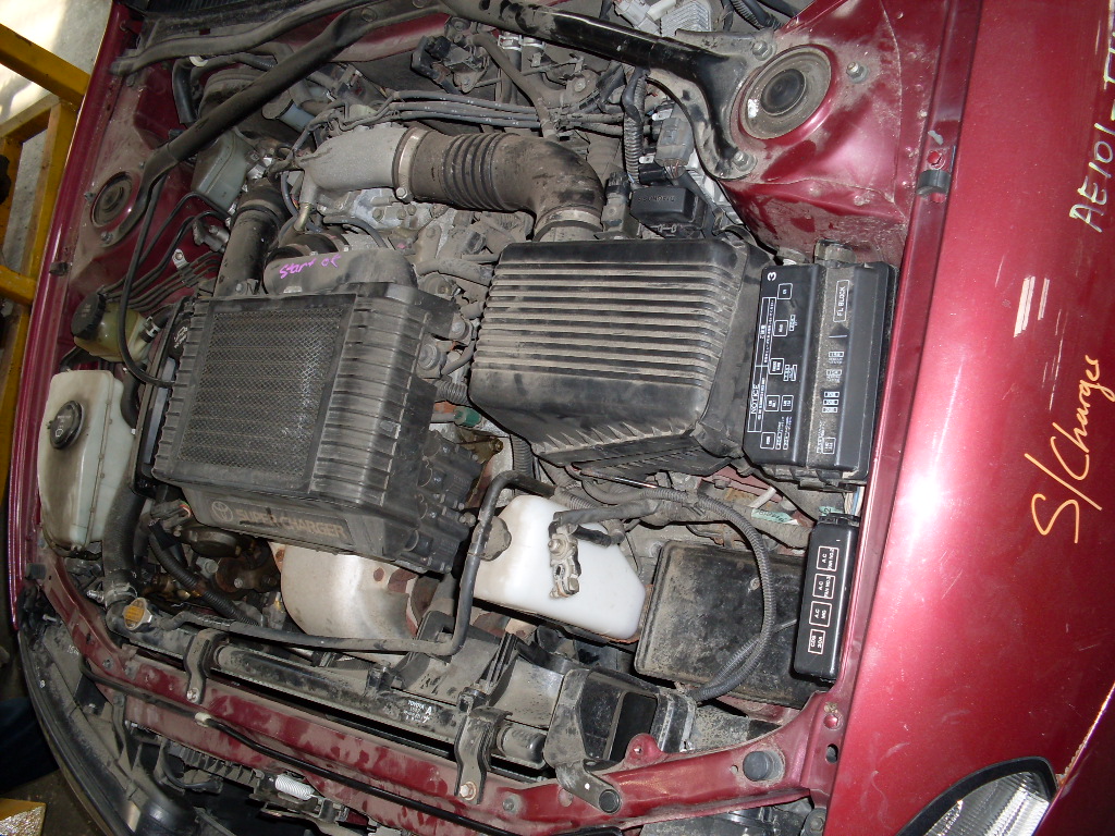 SDC10489.JPG