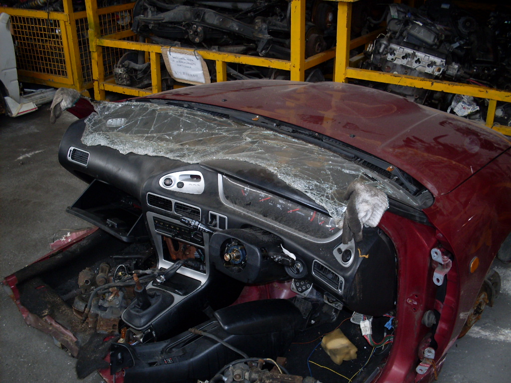 SDC10487.JPG