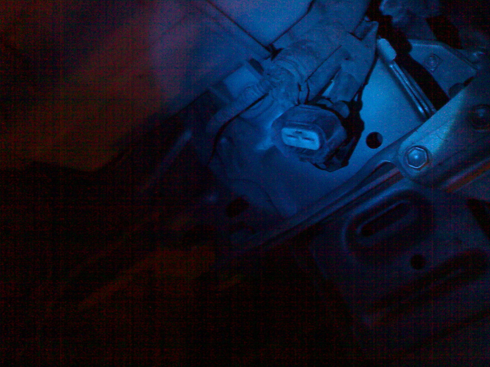 11032009788.jpg