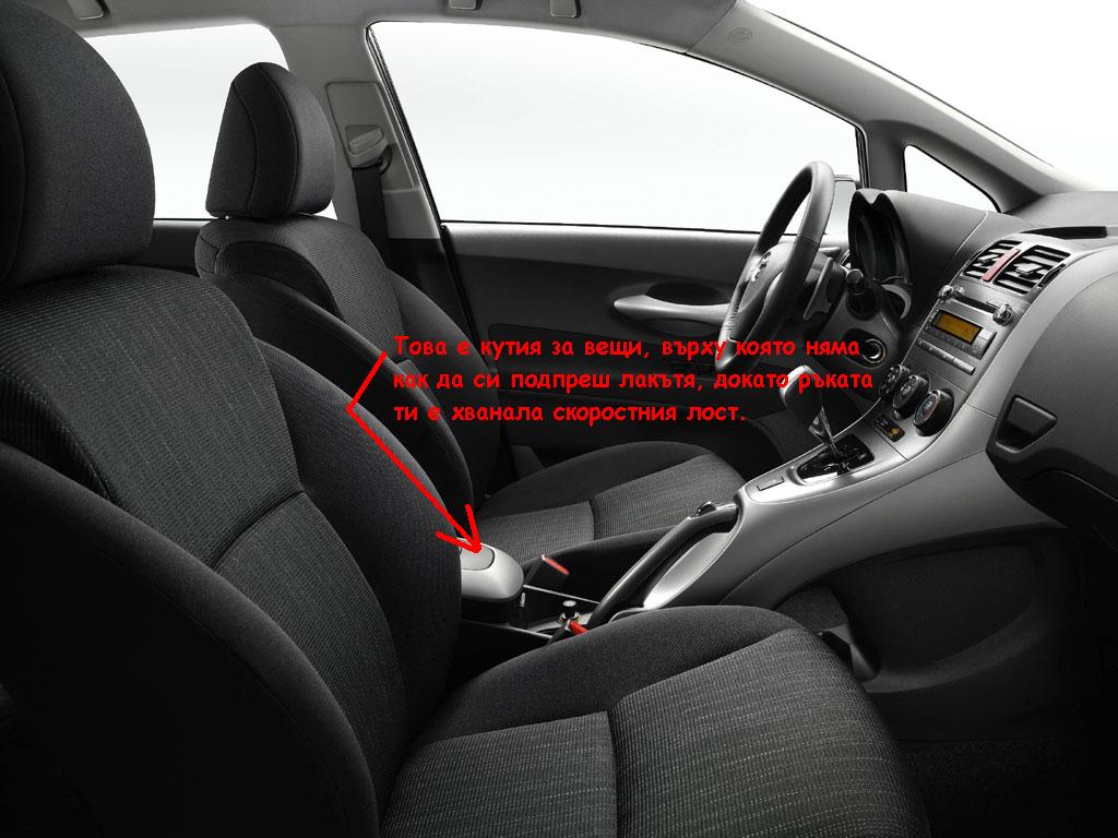 auris.JPG